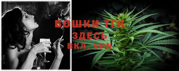 spice Гусь-Хрустальный