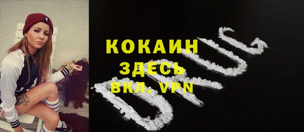 spice Гусь-Хрустальный